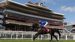Horse in front of stands